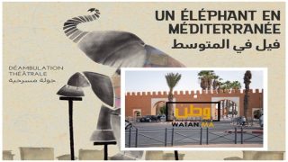 تيزنيت ...فيل عملاق يحط رحاله بالمدينة غدا الثلاثاء 16 أبريل 2024