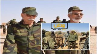 البوليساريو منظمة إرهابية متحالفة مع الجماعات الإسلامية