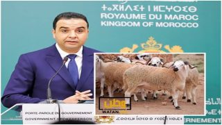 الحالة الصحية للقطيع جيدة والعرض يفوق الطلب بكثير