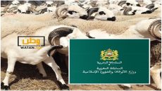 المملكة المغربية تعلن الإثنين 17 يونيو أول أيام عيد الأضحى