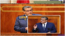 مخطط المغرب الأخضر وفر المنتجات الفلاحية في الأسواق بالرغم من سنوات الجفاف