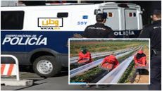 تفكك شبكة تتاجر في العمال الموسميين المغاربة باسبانيا