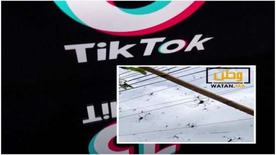 20 مليون مشاهدة للفيديو الأكثر رعباً على TikTok