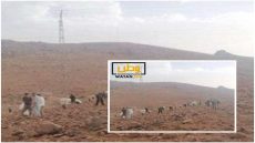 العثور على “عربون” نيزك سقط بمنطقة أيت ساون بزاكورة