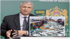 سابقة ...ارتفاع صاروخي في ثمن سمك السردين