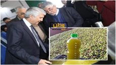 زيت الزيتون تتحدى تقييد التصدير إلى الخارج رغم ارتفاع اسعارها