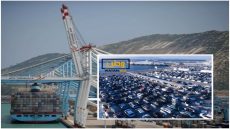 مسؤول...صادرات السيارات بالمغرب مرشحة لبلوغ عائدات سنوية قياسية