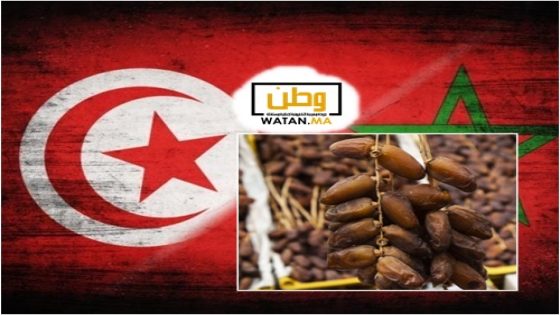 تقارير تونسية ...المغرب يتصدر لائحة الدول المستوردة للتمور 