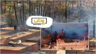 فاجعة ...حريق مهول يلتهم واحة تغجيجت ويخلف خسائر مادية وبيئية جسيمة