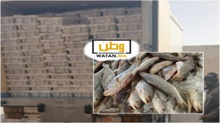 ضبط أكثر من طنين من السمك المجمد داخل مخزن سري باكادير