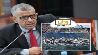 فضيحة…500 ألف طن من الأسماك تُحوّل سنويًا إلى أعلاف