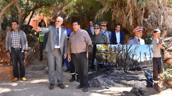 عامل إقليم تيزنيت يتفقد واحة “أياي بأملن” بعد الحريق ويوصي بتعزيز الوقاية وإعادة التأهيل
