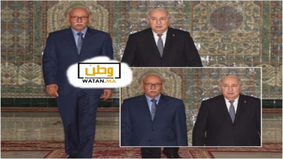 زعيم الجزائر الشمالية يستقبل زعيم الجزائر الجنوبية في مشهد مضحك