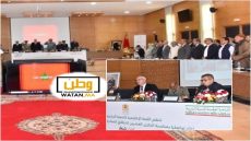 المبادرة الوطنية للتنمية البشرية: عشرون عامًا من الإنجازات بإقليم تيزنيت 