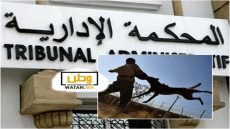 اشتوكة ايت باها ...الحكم بتغريم جماعة سيدي بيبي 18 مليون لفائدة مواطن تعرض لعضة كلب ضال