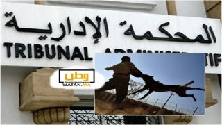 اشتوكة ايت باها ...الحكم بتغريم جماعة سيدي بيبي 18 مليون لفائدة مواطن تعرض لعضة كلب ضال