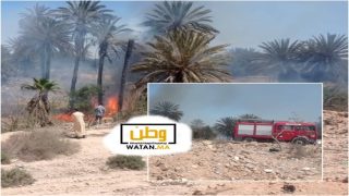 حريق في واحة تاركا بتيزنيت يثير مخاوف بشأن سلامة التراث الطبيعي