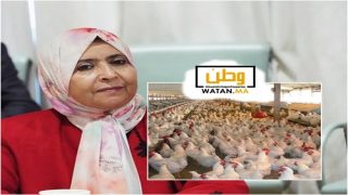 نائبة برلمانية تدق ناقوس الخطر كارثة بيئية تهدد سكان جماعة اولاد جرار بتزنيت