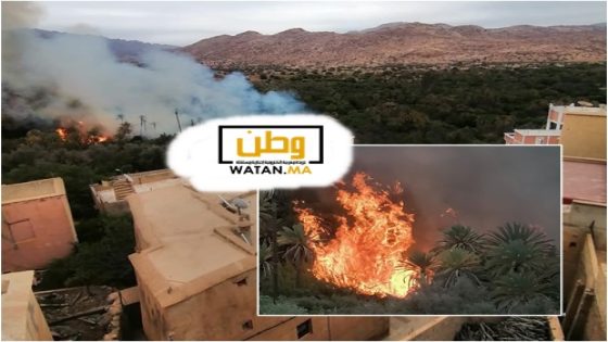أملن.. واحة "أياي" تشتعل من جديد ومطالب بتحديد المسؤوليات