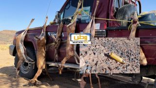 ضربة موجعة للصيد غير المشروع بتافراوت: توقيف عصابة “صائد الغزلان” وبحوزتهم سلاح ناري غير مرخص