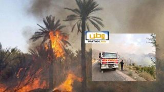 حريق يأتي على أزيد من 6 هكتارات من واحة “تاركانتوشكا” باشتوكة آيت باها والسلطات تسيطر على الوضع
