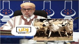 عبدالاله بنكيران ينتقد برنامج الحكومة لإعادة تكوين القطيع ويطالب بدعم المربين الصغار