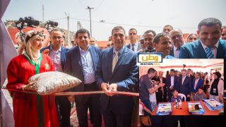 أكادير تحتفي بموروثها الذهبي | مهرجان العسل 2025 بأقصري يُبرز كنوز النحل والتراث المحلي