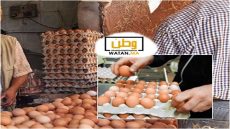 ارتفاع قياسي في أسعار البيض 