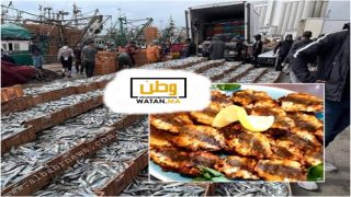 ارتفاع قياسي في أسعار السردين