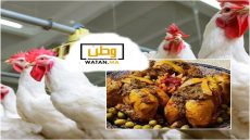 ارتفاع صاروخي لأسعار الدجاج