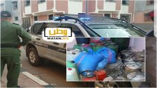 الشرطة القضائية تفكك مصنعًا سريًا لتقطير الماحيا بأكادير