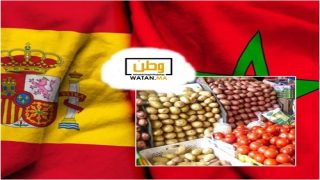 المملكة المغربية تؤمن ثلث احتياجات إسبانيا من الخضر و الفواكه