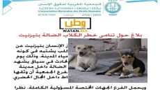 تيزنيت …الجمعية المغربية لحقوق الإنسان تصدر بلاغا حول تنامي خطر الكلاب الضالة