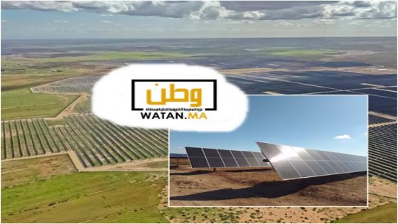 المكتب الشريف للفوسفاط يطلق مزرعة شمسية بخريبكة