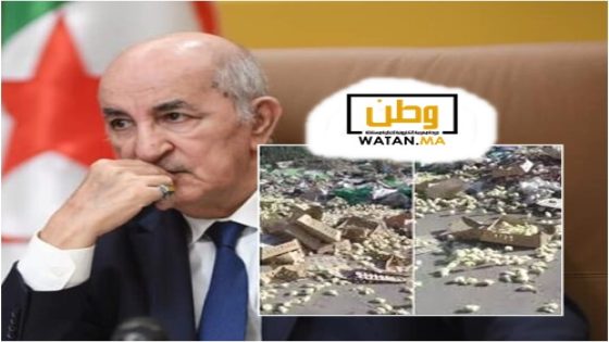 الجزائر …إعدام جماعي للدجاج بسبب غلاء الأعلاف وانهيار الدينار