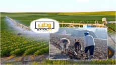 السياسات الفلاحية بالمغرب تستنزف الماء وتهمل الأمن الغذائي وتهمش الفلاحين الصغار