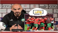 الناخب الوطني يغيّر ملامح تشكيلة الاسود أمام مالي لحسم التأهل المبكر