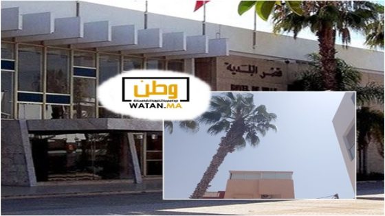 أكادير…نخلة مهدِّدة بالسقوط قرب المحكمة الابتدائية تُقلق ساكنة حي بوتشكات