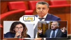 زينة إدحلي تقود معسكر الرافضين لولوج خريجي الشريعة إلى مهنة المحاماة