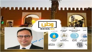 فيصل دومكسا يغادر حزب الاستقلال ويشعل سباق الانتخابات البرلمانية بإقليم تيزنيت