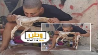 توقيف صانع محتوى أثار غضب المغاربة بفيديو مثير للجدل خلال عيد الأضحى