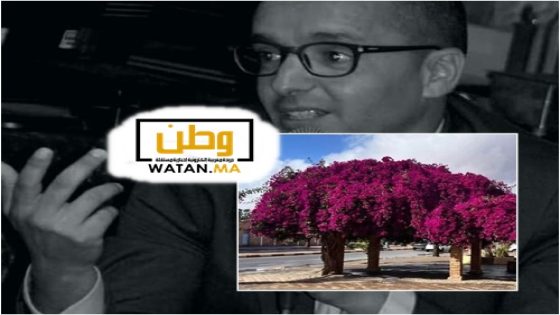 سعيد رحيم ...رد على توضيح جماعة تيزنيت