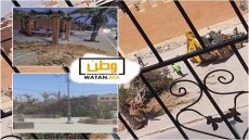 تيزنيت: الجمعية المغربية لحقوق الإنسان تستنكر اقتلاع الأشجار وتندد باستمرار تدهور الفضاءات الخضراء