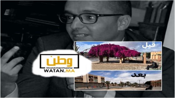سعيد رحيم ...الشجرة التي تخفي الغابة: كيف فُوِّض القرار المحلي بتيزنيت لصالح شركة التنمية المحلية؟