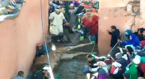 فيديو : خطير مغاربة يحيون طقوس شعوذة وسحر بموسم مولاي ابراهيم