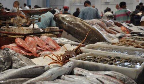 صفعة للبوليساريو : الاتحاد الاوربي يعتمدُ رسمياً تجديد إتفاقية الصيد مع المغرب يشمل الصحراء