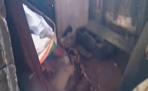 فيديو: صادم يهز الفايسبوك بالمغرب فتاة تبكي بحرقة أمام عشيقها لهذا السبب