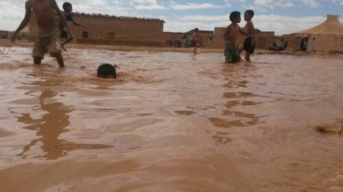 عاجل : أمطار طوفانية تغرق مخيمات العار للبوليساريو. (الصور)