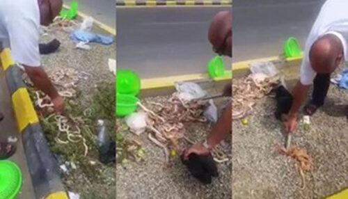 فيديو: خطير شاهد ماذا وجدوا بالصدفة داخل حقيبة حاج مصري في السعودية